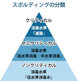 スポルディングの分類