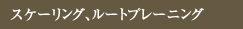 ケーリング、ルートプレーニング